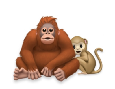 Punch the monkey with his plush orangutan